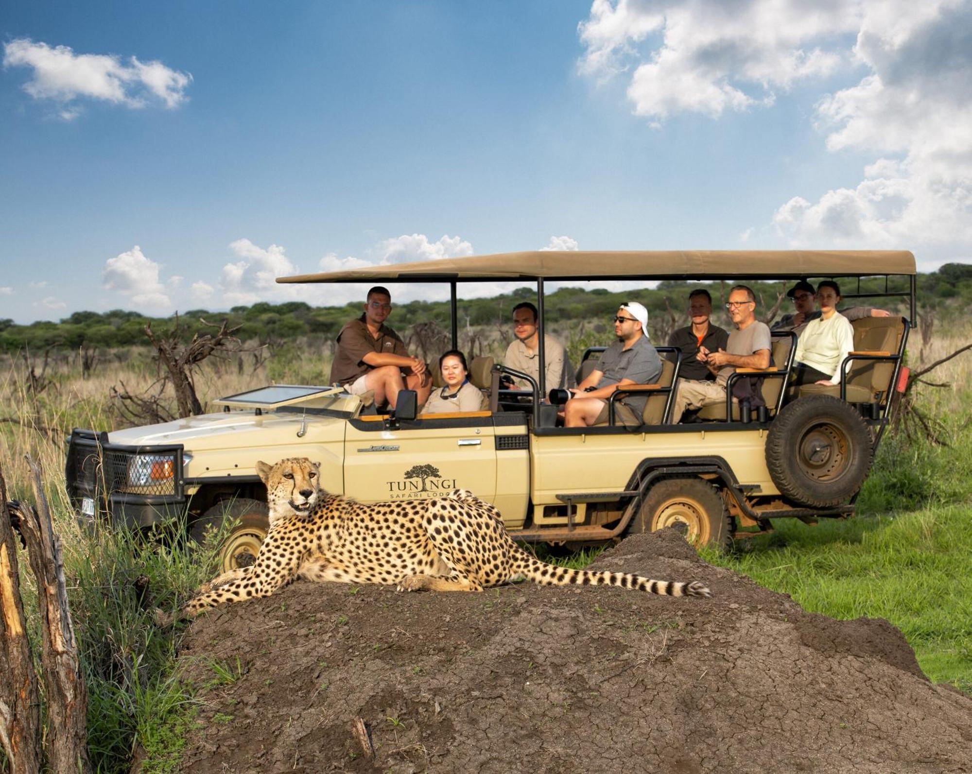 Tuningi Safari Lodge Madikwe Game Reserve Exterior photo